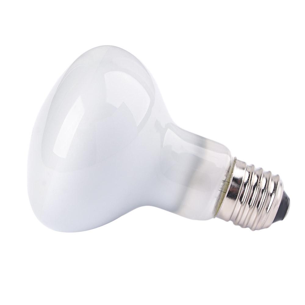 Basking Bulb Halogen - Lampada Riscaldante per Rettili con Controllo