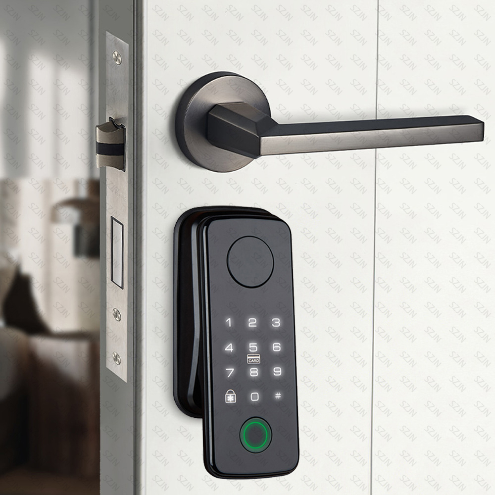 TTLock Blocco automatico intel - Glass Door Hinge recensione e prezzo