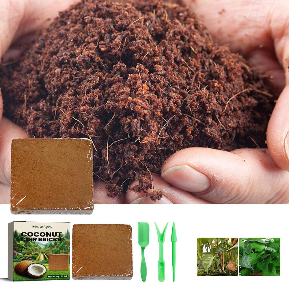 Mattonella di Fibra di Cocco - - Substrate Coconut Fiber recensione e prezzo
