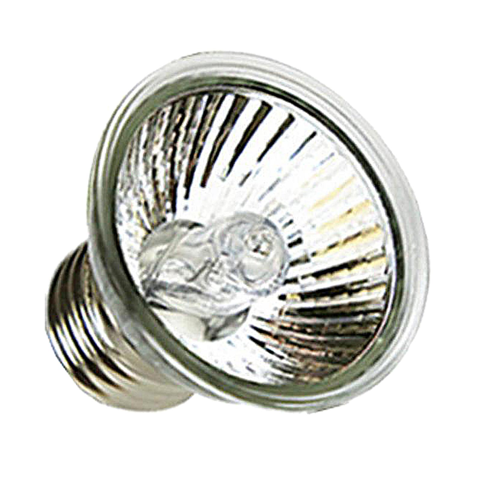 Lampada alogena UVA UVB per re - Basking Bulb Halogen recensione e prezzo