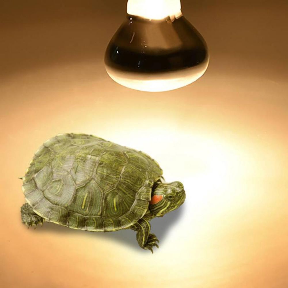 Lampada Riscaldante per Anfibi - Basking Bulb Halogen recensione e prezzo