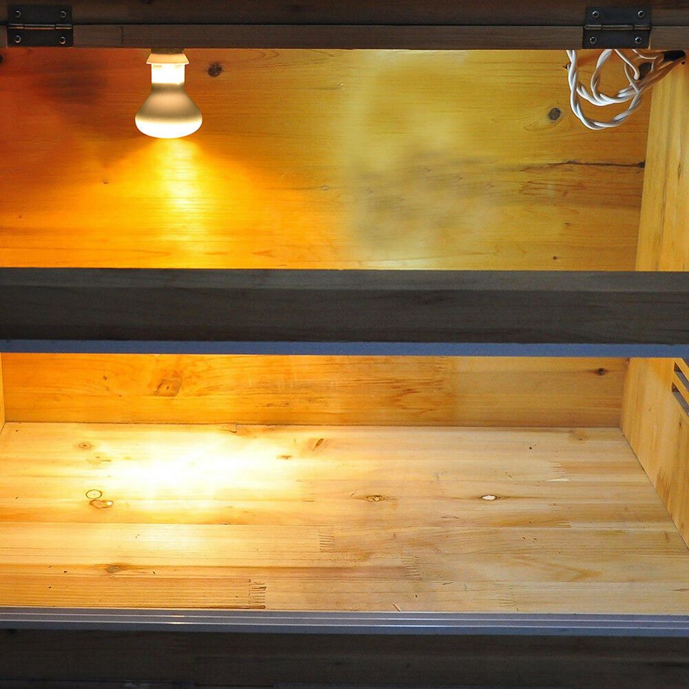 Lampada Riscaldante per Anfibi - Basking Bulb Halogen recensione e prezzo