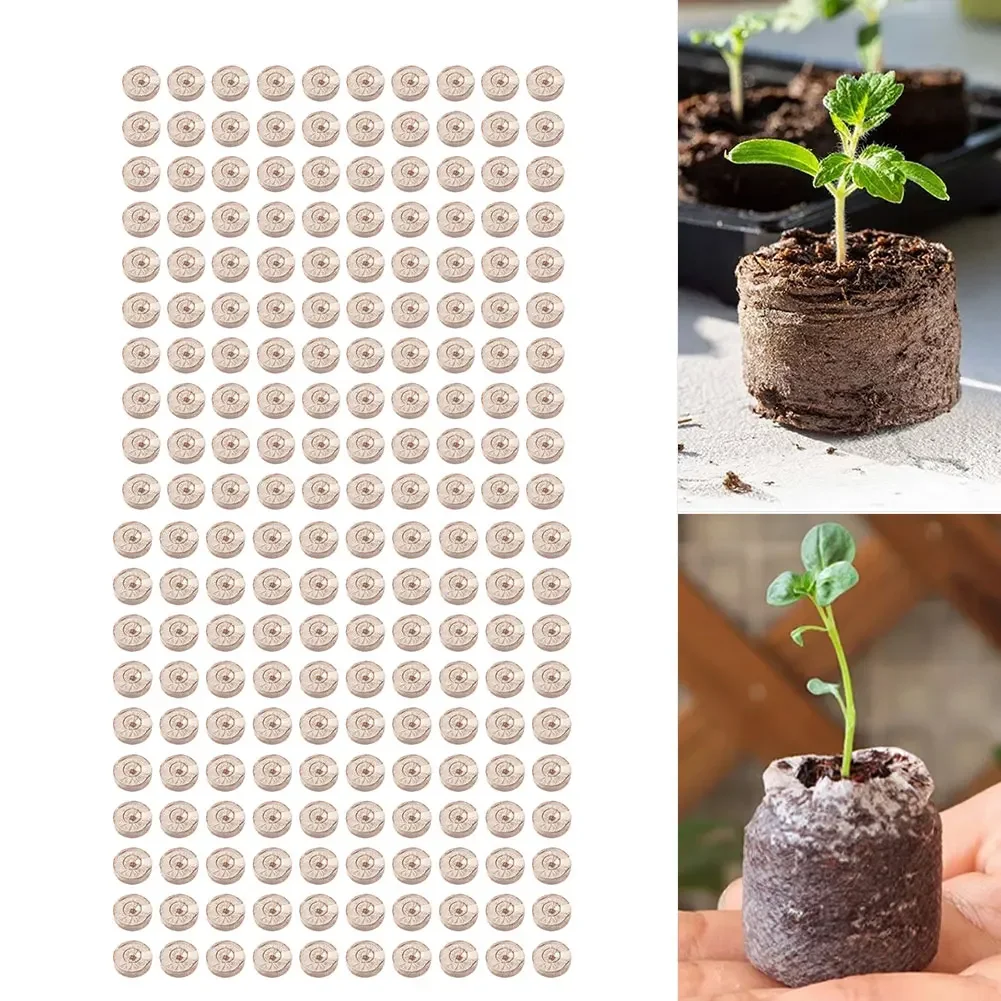 100 pellet di cocco compressi  - Substrate Coconut Fiber recensione e prezzo