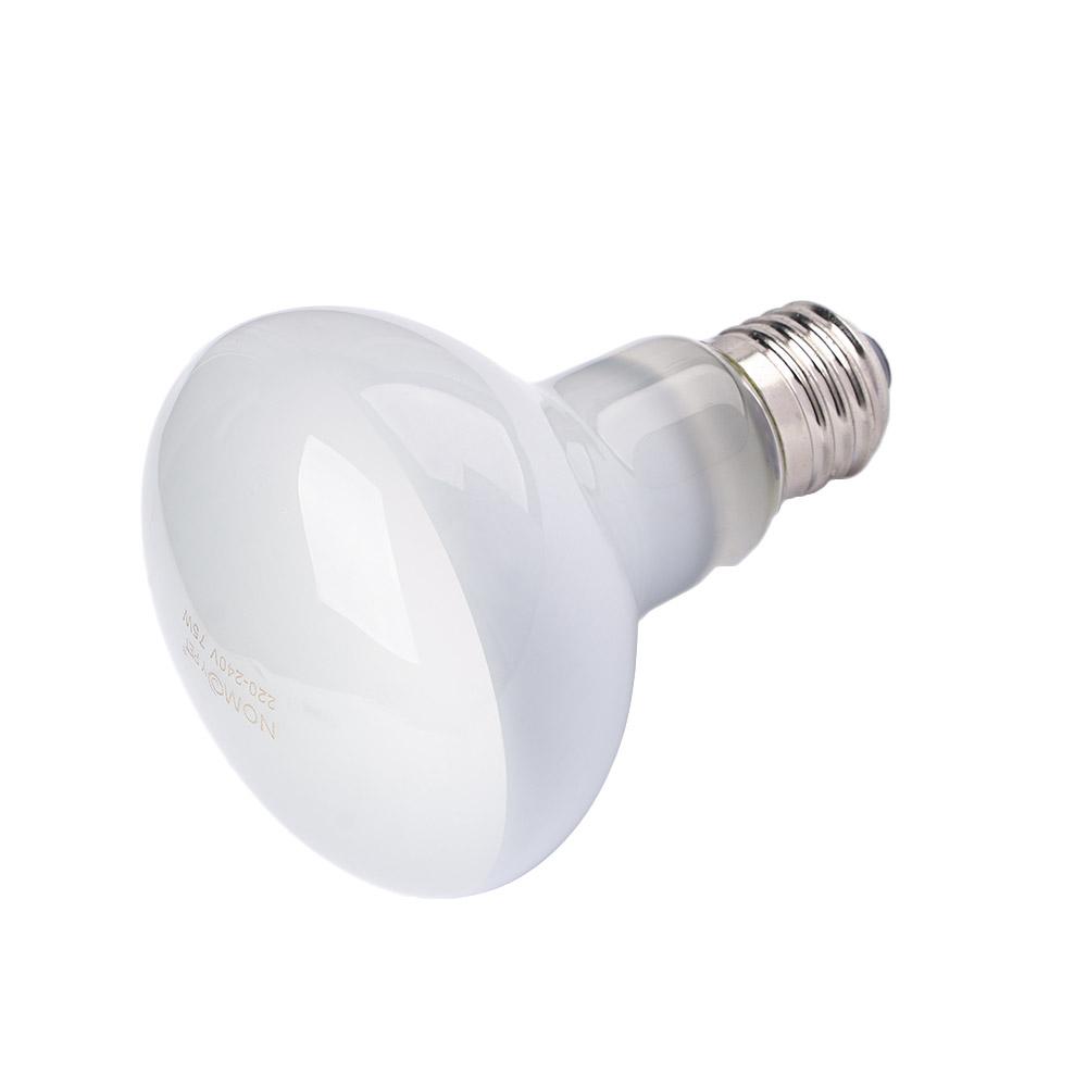 Lampada Riscaldante per Anfibi - Basking Bulb Halogen recensione e prezzo